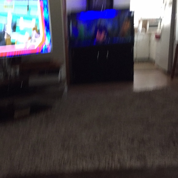 Meet your Posher, Vernadine - Picture 1 of 1